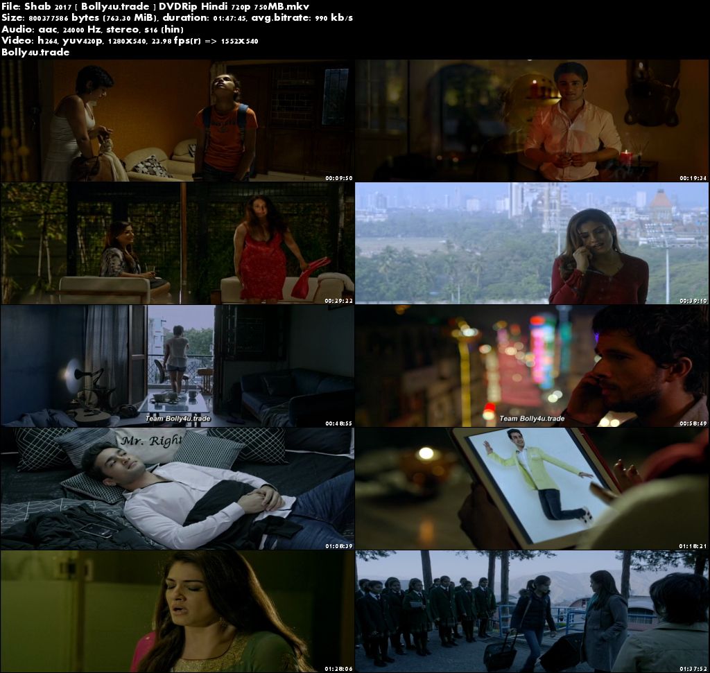 Shab 2017 DVDRip 750Mb Full Hindi Movie Download 720p