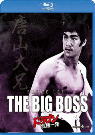 The Big Boss 1971 BluRay 300MB Hindi Dual Audio 480p