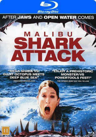 Malibu Shark Attack 2009 BRRip 300MB Hindi Dual Audio 480p