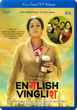 English Vinglish 2012 BluRay 400MB Full Hindi Movie Download 480p