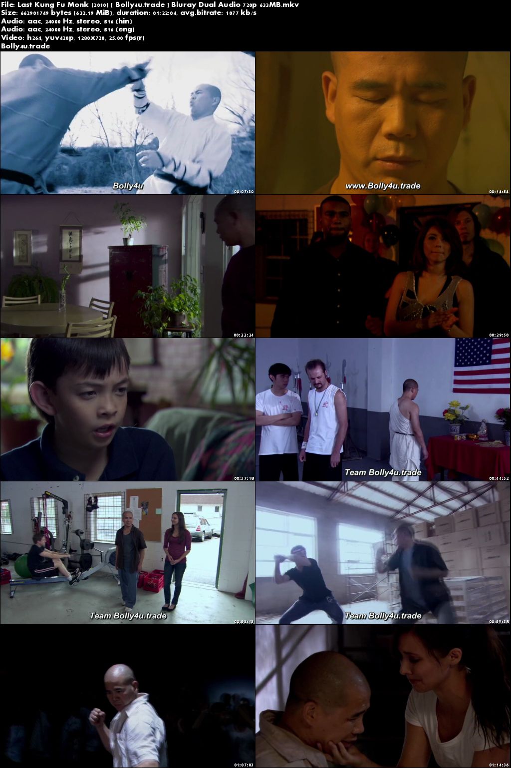 Last Kung Fu Monk 2010 BluRay 600MB Hindi Dual Audio 720p Download