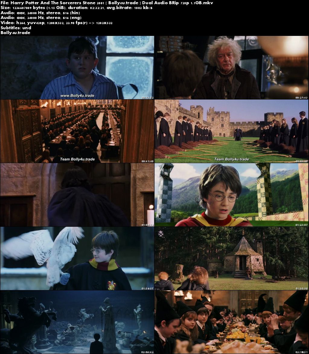 Harry Potter And The Sorcerers Stone 2001 BRRip 480p Hindi Dual Audio 450MB Download