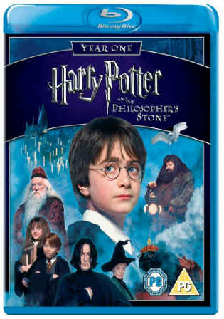 Harry Potter And The Sorcerers Stone 2001 BRRip 480p Hindi Dual Audio 450MB