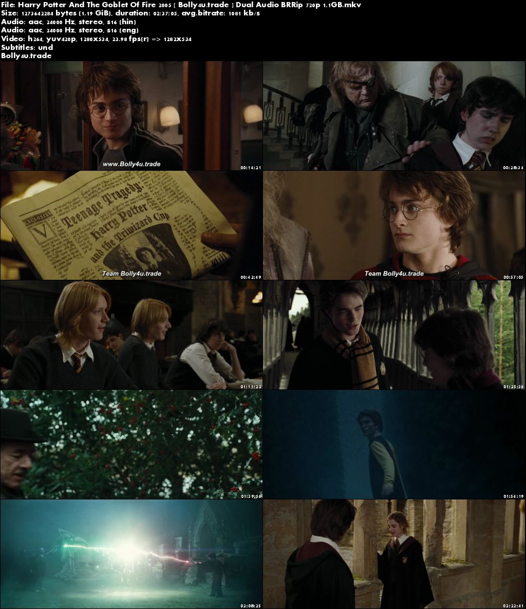 Harry Potter And The Goblet Of Fire 2005 BRRip 500Mb Hindi Dual Audio 480p Download