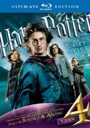 Harry Potter And The Goblet Of Fire 2005 BRRip 500Mb Hindi Dual Audio 480p