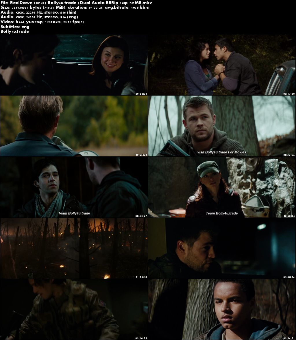 Red Dawn 2012 BluRay 700MB Hindi Dubbed Dual Audio 720p Download