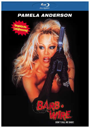 Barb Wire 1996 BluRay 300Mb Hindi Dual Audio 480p Watch online Full Movie Download bolly4u