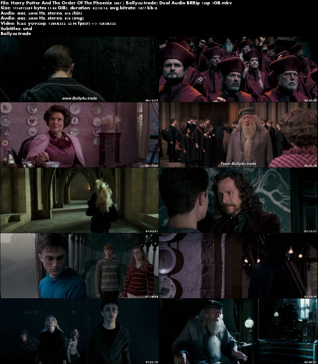 Harry Potter And The Order Of The Phoenix 2007 BRRip 1GB Hindi Dual Audio 720p Download
