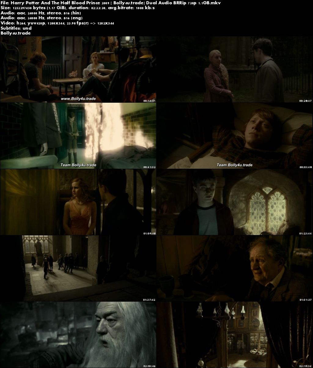 Harry Potter And The Half Blood Prince 2009 BRRip 450MB Hindi Dual Audio 480p Download