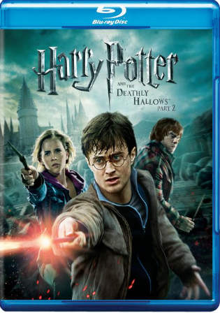 Harry Potter And The Half Blood Prince 2009 BRRip Hindi Dual Audio 720p