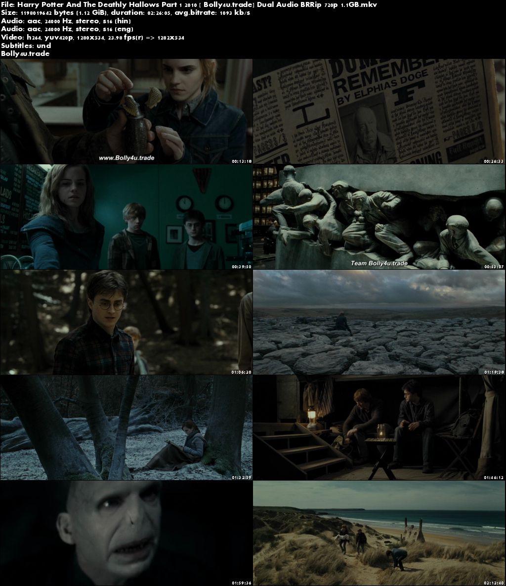 Harry Potter And The Deathly Hallows Part 1 2010 BRRip 450MB Hindi Dual Audio 480p Download