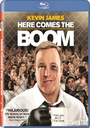 Here Comes the Boom 2012 BluRay 350Mb Hindi Dual Audio 480p