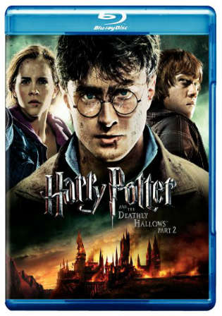 Harry Potter And The Deathly Hallows Part 2 2011 BRRip 400Mb Hindi Dual Audio 480p