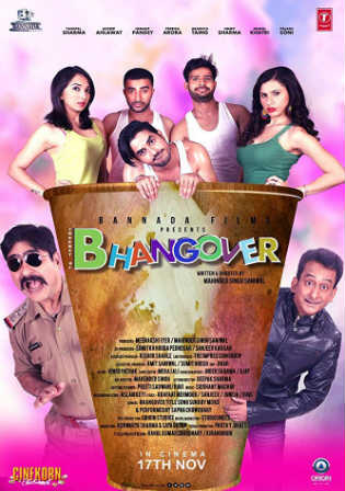 Journey Of Bhangover 2017 DTHRip 350MB Full Hindi Movie Download 480p