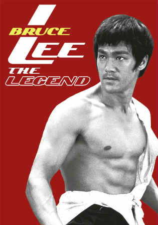 Bruce Lee The Legend 1984 HDTV 300Mb Hindi Dubbed Dual Audio 480p