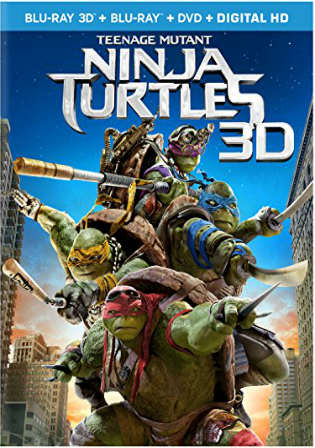 Teenage Mutant Ninja Turtles 2014 BRRip 350Mb Hindi Dual Audio 480p
