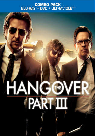 The Hangover Part III 2013 BluRay 300MB Hindi Dual Audio 480p ESub