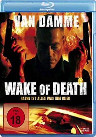 Wake of Death 2004 BluRay 300MB UNCUT Hindi Dual Audio 480p