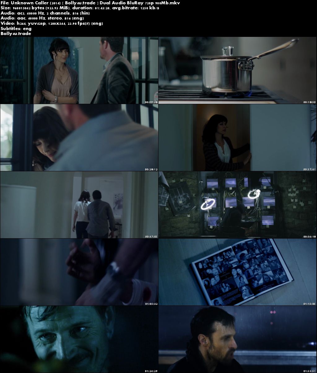 Unknown Caller 2014 BluRay 900MB Hindi Dual Audio 720p Download