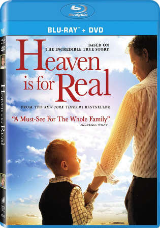 Heaven Is for Real 2014 HDRip 300MB Hindi Dubbed Dual Audio 480p