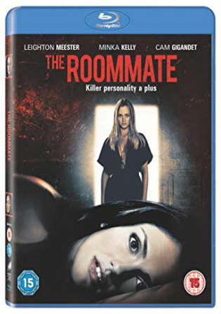 The Roommate 2011 BluRay 300MB Full Hindi Dual Audio Movie Download 480p