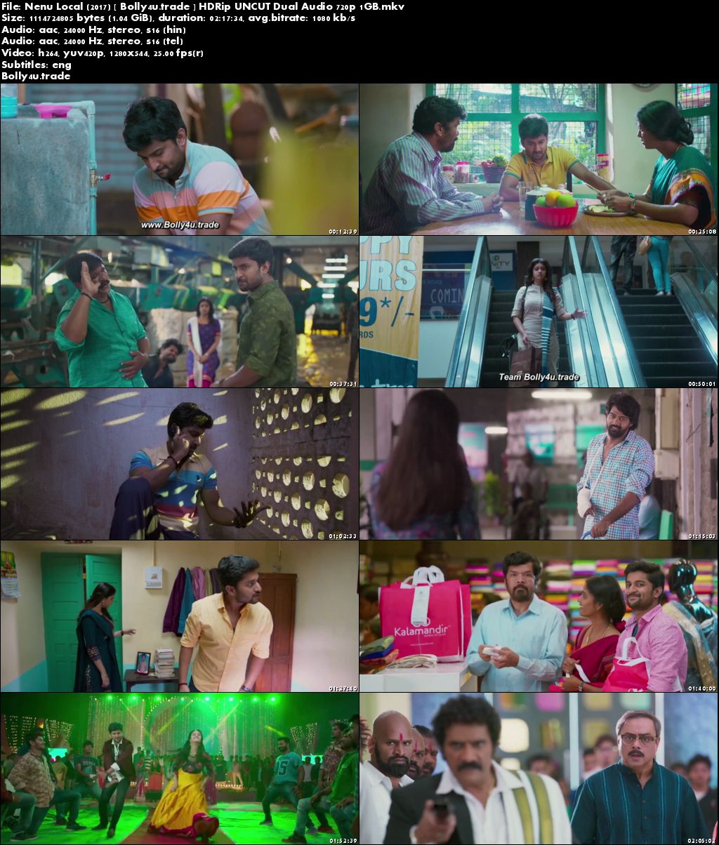 Nenu Local 2017 HDRip 400MB UNCUT Hindi Dual Audio 480p Download