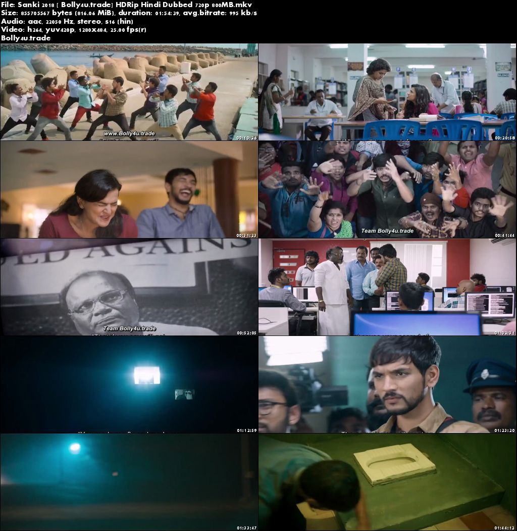 Sanki 2018 HDRip 800Mb Full Hindi Dubbed Movie Download 720p