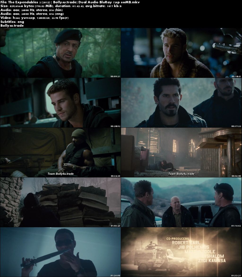 The Expendables 2 2012 BluRay 350Mb Hindi Dual Audio 480p ESub Download