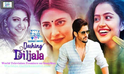 Dashing Diljale 2018 HDTV 300Mb Full Hindi Dubbed Movie Download 480p