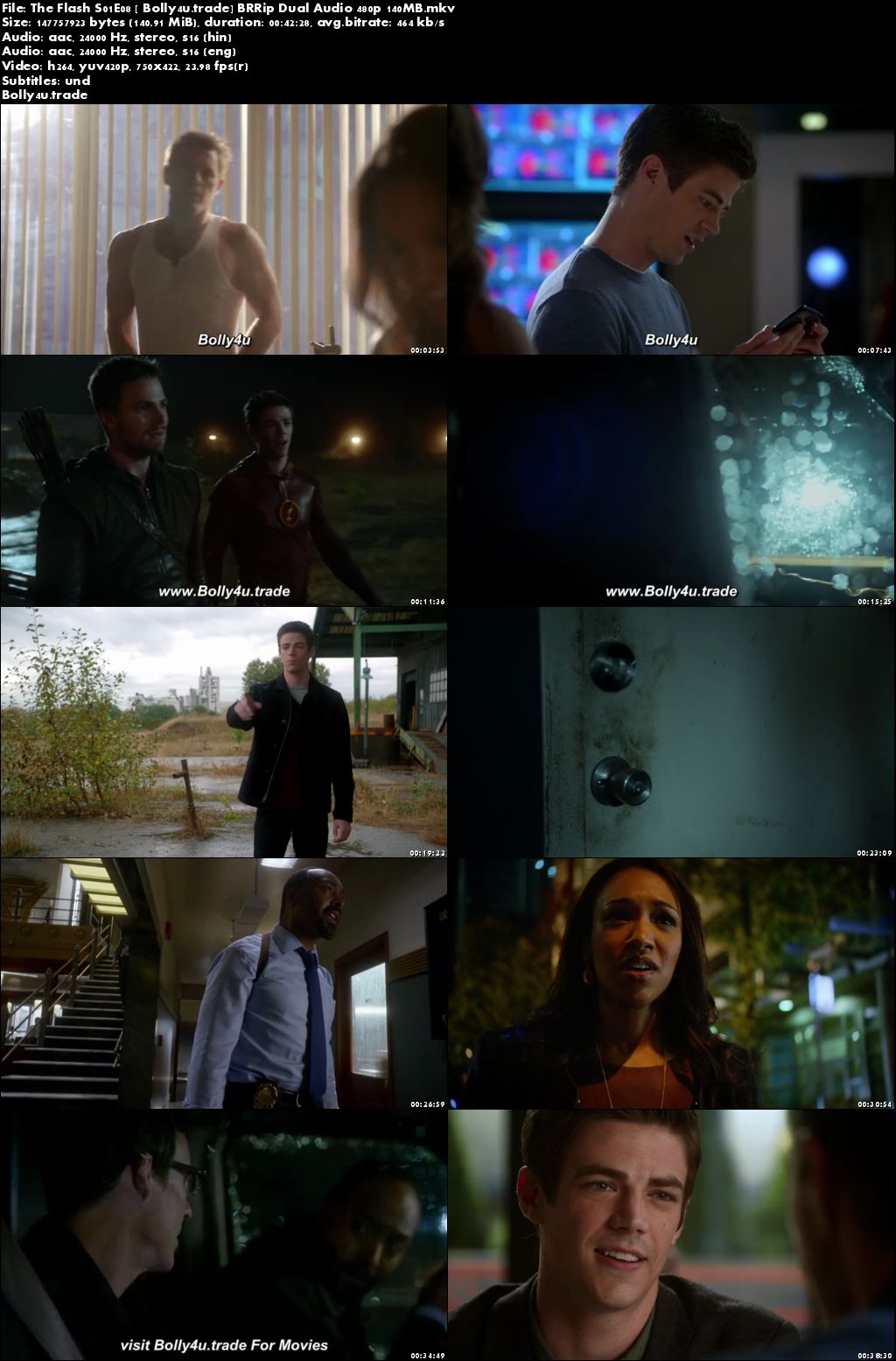 The Flash S01E08 BRRip 140MB Hindi Dual Audio 480p Download