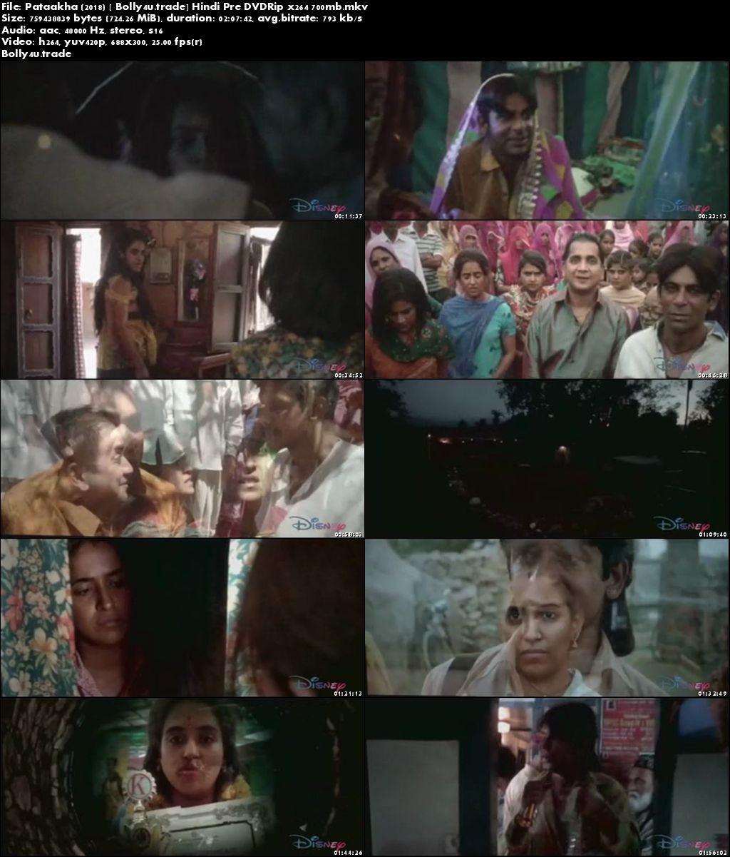 Pataakha 2018 Pre DVDRip 300MB Full Hindi Movie Download 480p