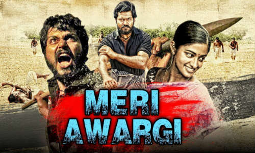 Meri Awargi 2018 HDRip 350MB Full Hindi Dubbed Movie Download 480p
