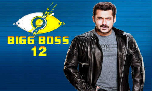 Bigg Boss S12E43 HDTV 480p 150MB 29 October 2018