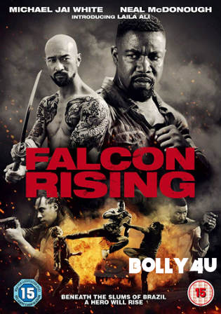 Falcon Rising 2014 BRRip 750Mb Hindi Dual Audio 720p Watch Online Full Movie Download Bolly4u