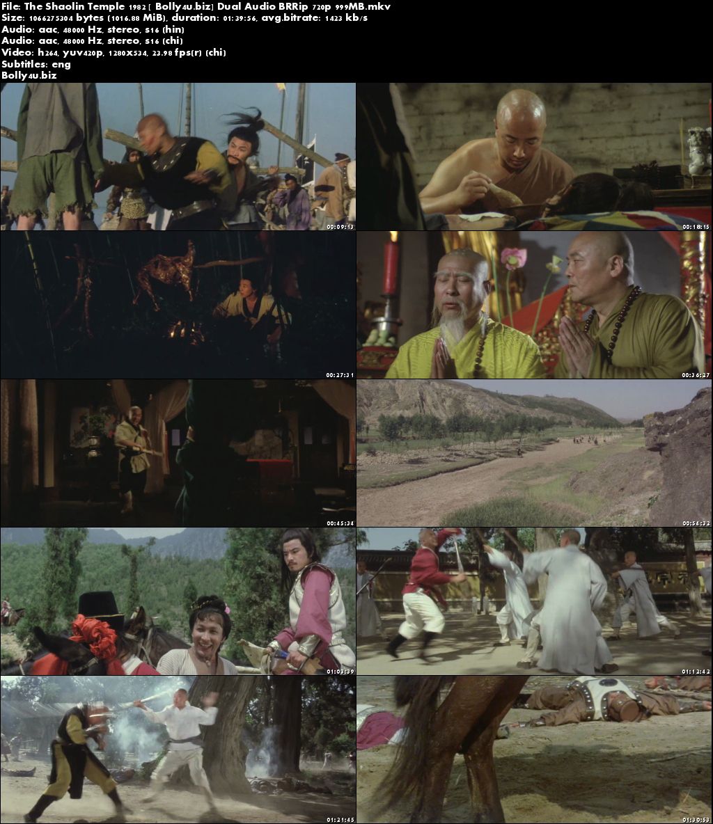 The Shaolin Temple 1982 BRRip 999Mb Hindi Dual Audio 720p Download