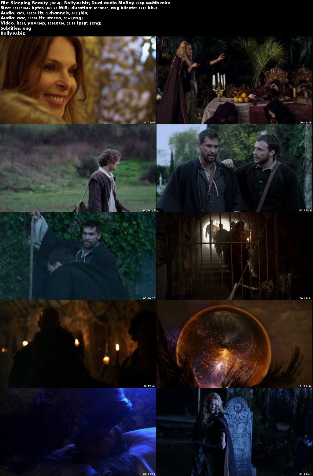 Sleeping Beauty 2014 BluRay 300Mb Hindi Dual Audio 480p Download