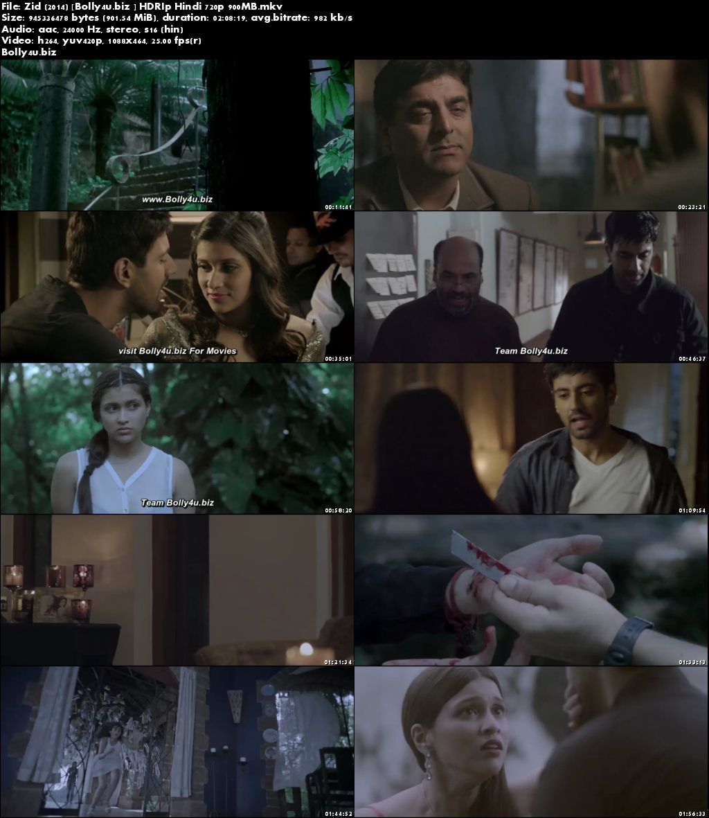 Zid 2014 HDRip 350MB Full Hindi Movie Download 480p