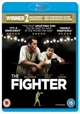 The Fighter 2010 BluRay 350Mb Hindi Dual Audio 480p