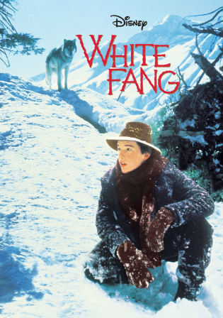 White Fang 1991 WEBRip 350Mb Hindi Dual Audio 480p