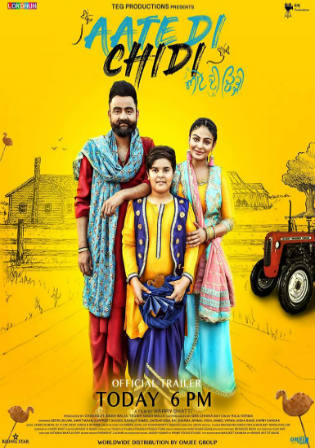 Aate Di Chidi 2018 SDTV 500Mb Full Punjabi Movie Download 480p Watch Online Free bolly4u