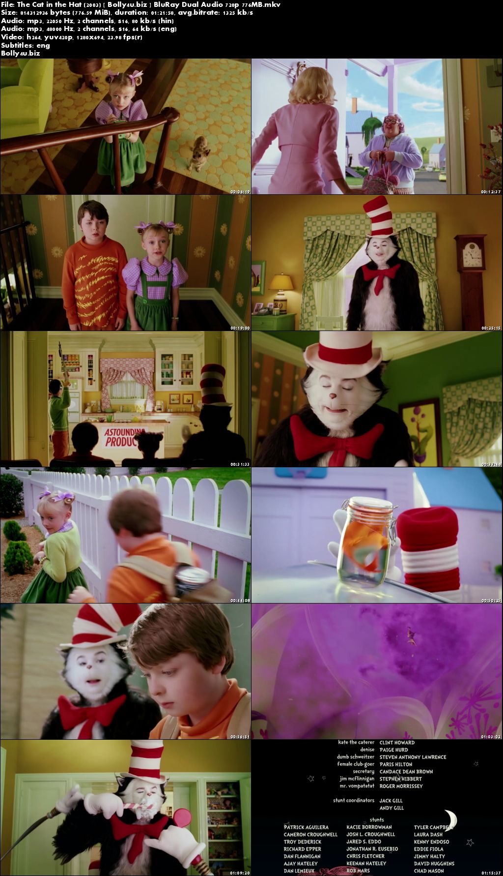 The Cat in the Hat 2003 BluRay 300Mb Hindi Dual Audio 480p Download