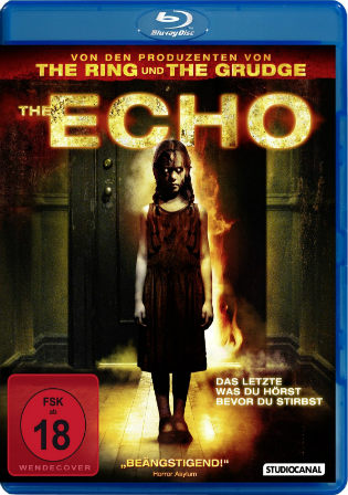 The Echo 2008 BluRay 300Mb Hindi Dual Audio 480p