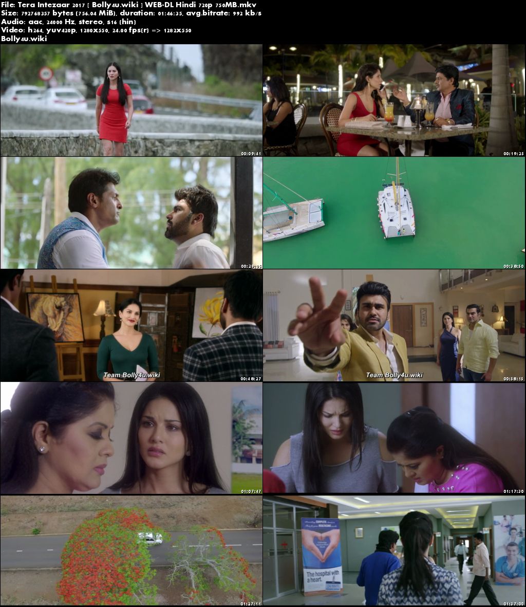 Tera Intezaar 2017 WEB-DL 750Mb Full Hindi Movie Download 720p