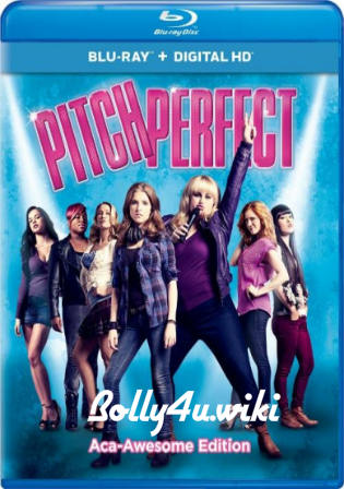 Pitch Perfect 2012 BRRip 350MB Hindi Dual Audio ORG 480p