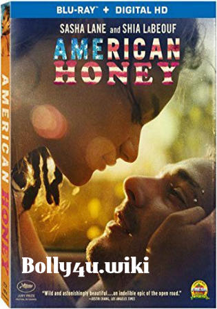 American Honey 2016 BluRay 500Mb Hindi Dual Audio 480p