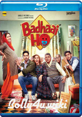 Badhaai Ho 2018 BluRay 300MB Full Hindi Movie Download 480p