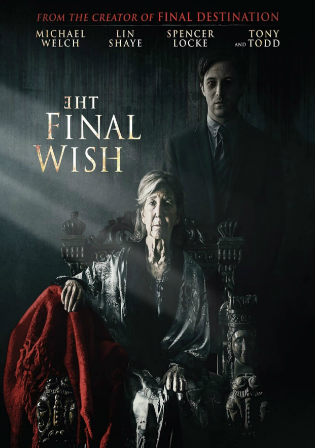 The Final Wish 2019 WEB-DL 300Mb English 480p ESub