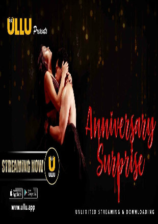 The Anniversary Surprise 2019 WEB-DL 500Mb Hindi WEB Series 720p Download