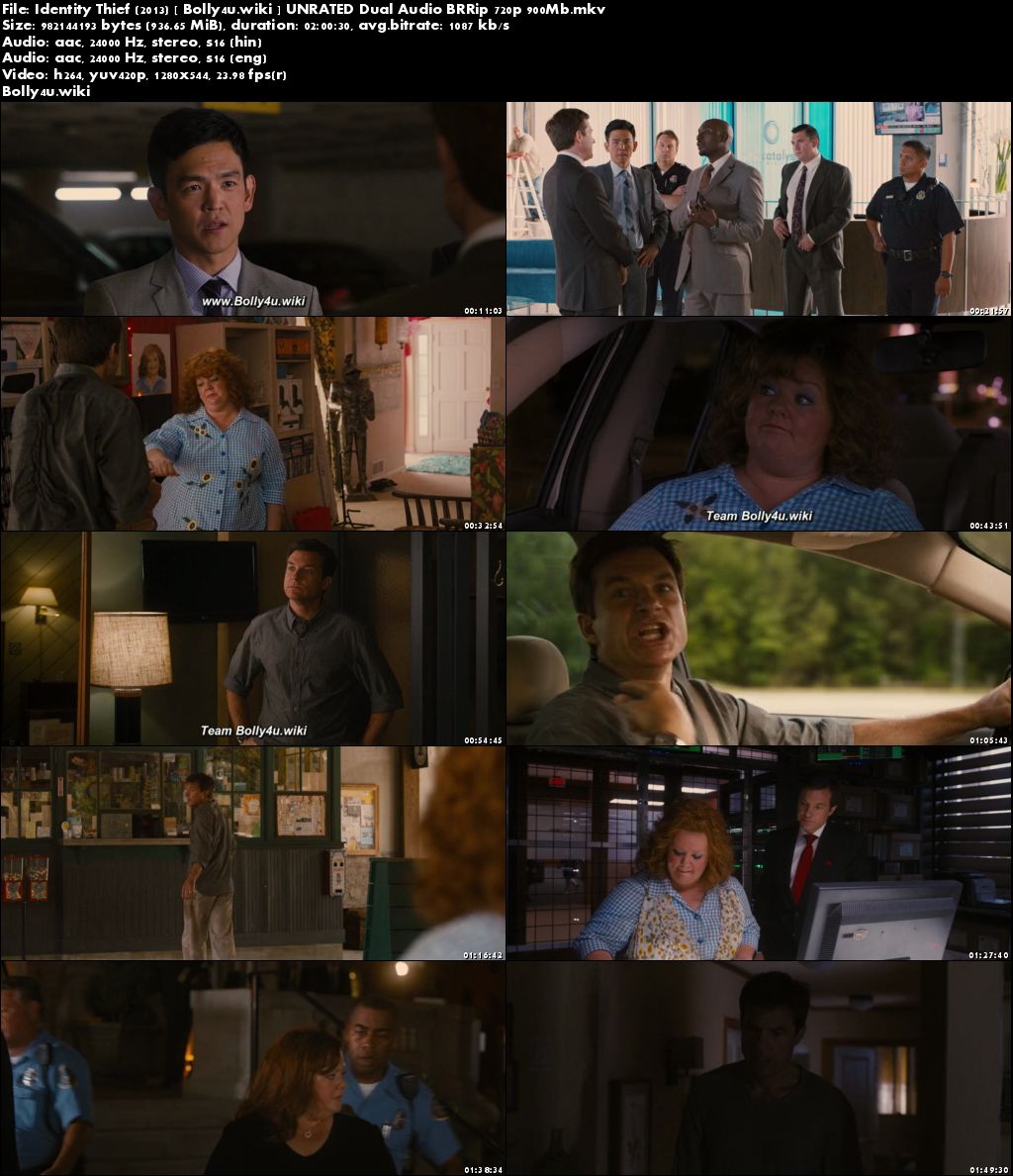 Identity Thief 2013 BRRip 900MB UNRATED Hindi Dual Audio 720p Download