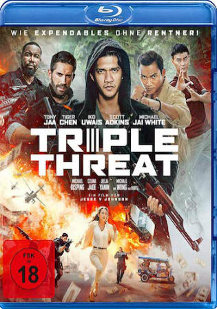 Triple Threat 2019 BRRip 300Mb English 480p ESub